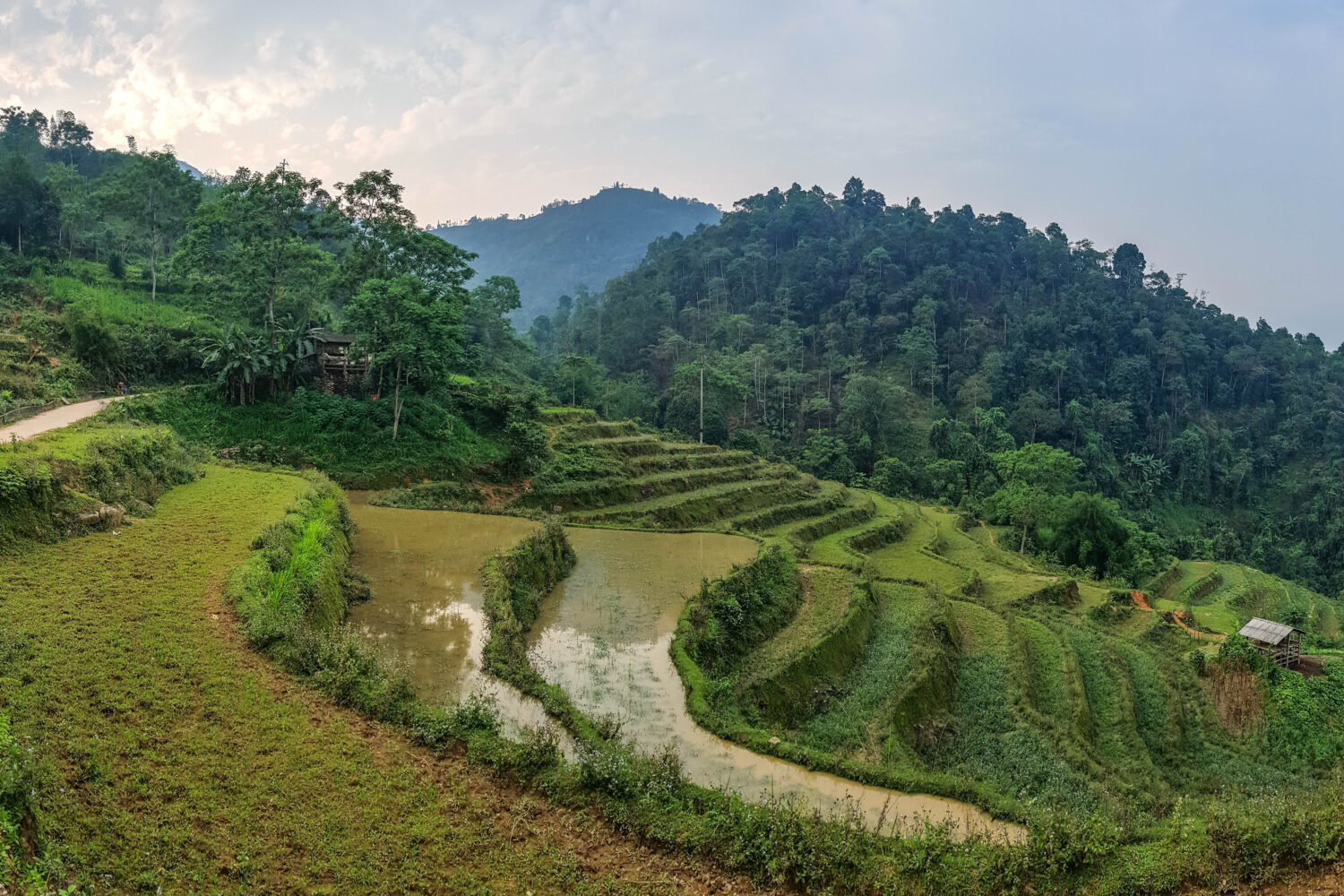 Terasovitá rýžová políčka, severní Vietnam